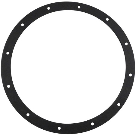 Baldwin G25-AF, Sponge Gasket with 12 Bolt Holes