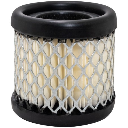 Baldwin PA1985, Air Filter Element