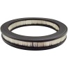 baldwin pa2124, air element