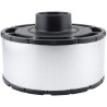 baldwin pa2825, replacement for ecolite air element in disposable housing