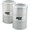 baldwin pt509-mpg kit, kit of 2 maximum performance glass hydraulic elements