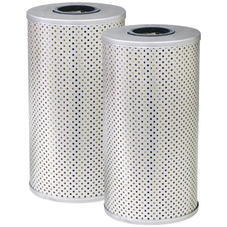 Baldwin PT560 KIT, Kit of 2 Hydraulic Filter Elements