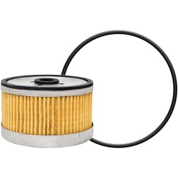 Dahl 66 2 micron fuel element