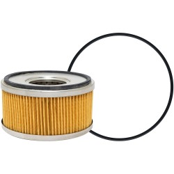 101-30 DAHL Fuel Element