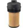Baldwin P7436, Lube Element with Lid