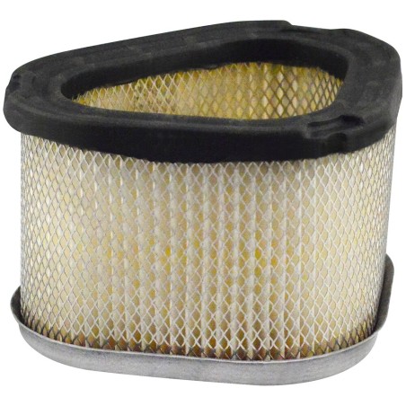 Baldwin PA30031 Oval Air Element