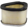 Baldwin PA30031 Oval Air Element