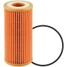 P40010 Oil Filter Element