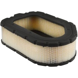 RS30099 Air Filter