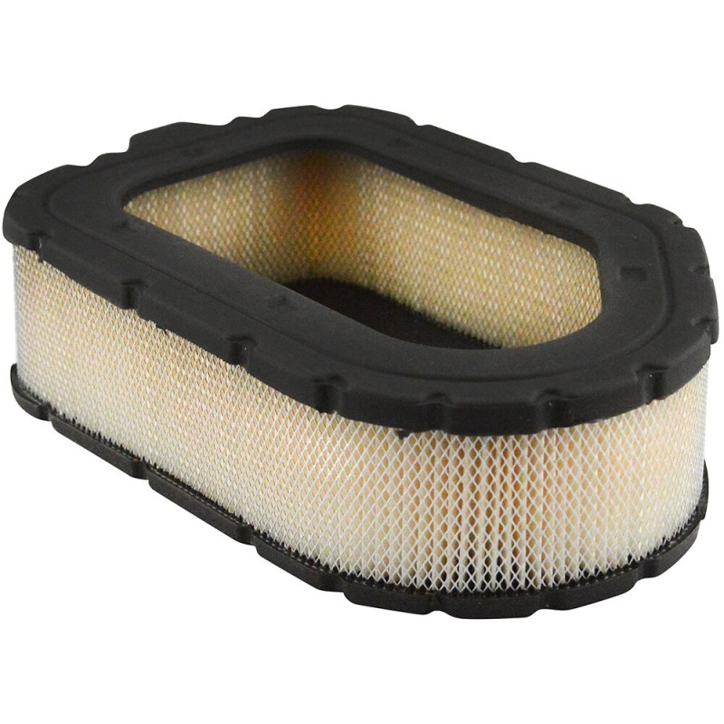 RS30099 Air Filter