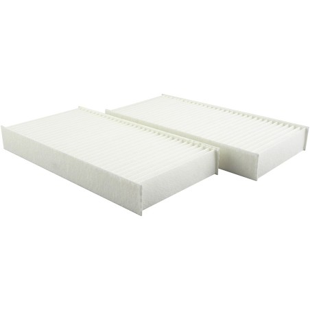 Baldwin PA4195 KIT  Set of 2 Cab Air Filter