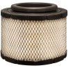 RS10035 Radial Seal Air Element