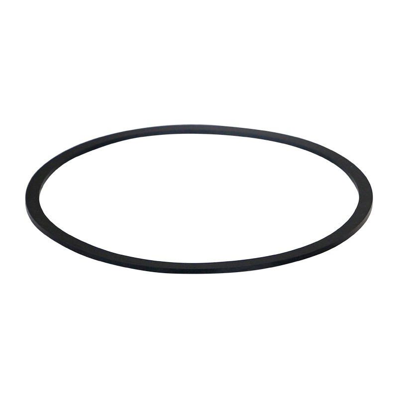 SF DG-005-66 Fuel Filter