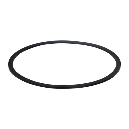 SF DG-005-66 Fuel Filter