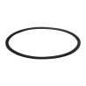 SF DG-005-66 Fuel Filter
