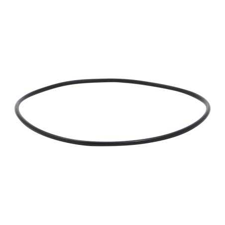 SF DG-OR132 Filter Seal