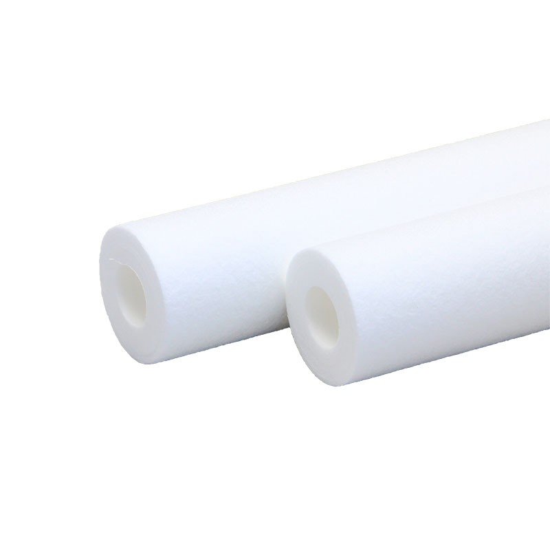 SF EBC20PP0100XX Water Filter Element