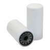 SF SK48739 Fuel filter