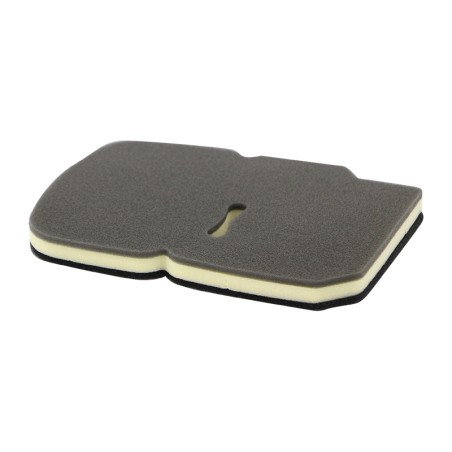 SL1565 Air Filter | SF FILTER