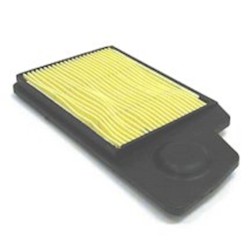 SL1955 Air Filter