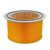 SL45042 Air Filter | SF FILTER