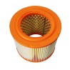 SL60137 Air Filter | SF FILTER