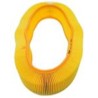 SF SL6192 Air Filter