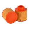 SL81125 Air Filter | SF FILTER