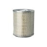 SL81181 Air Filter | SF FILTER
