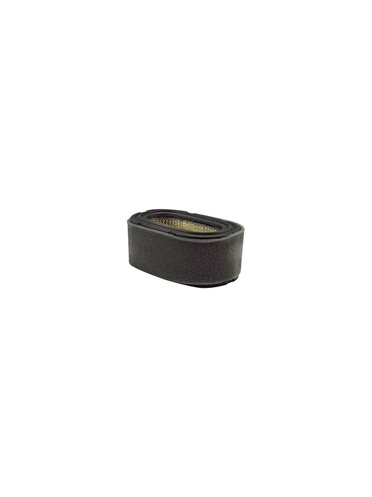 Baldwin PA30017 Oval Air Element with Foam Wrap