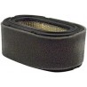 Baldwin PA30017 Oval Air Element with Foam Wrap