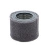 SL81955 Air Filter | SF FILTER