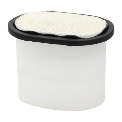 SL82009 Air Filter | SF FILTER