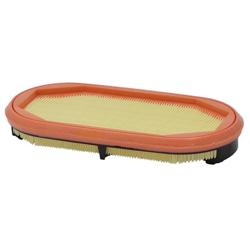 SL82507 Air Filter | SF FILTER