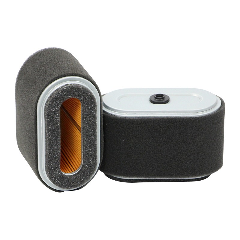 SF SL87012 AIR FILTER