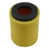 SL87022 Air Filter | SF FILTER