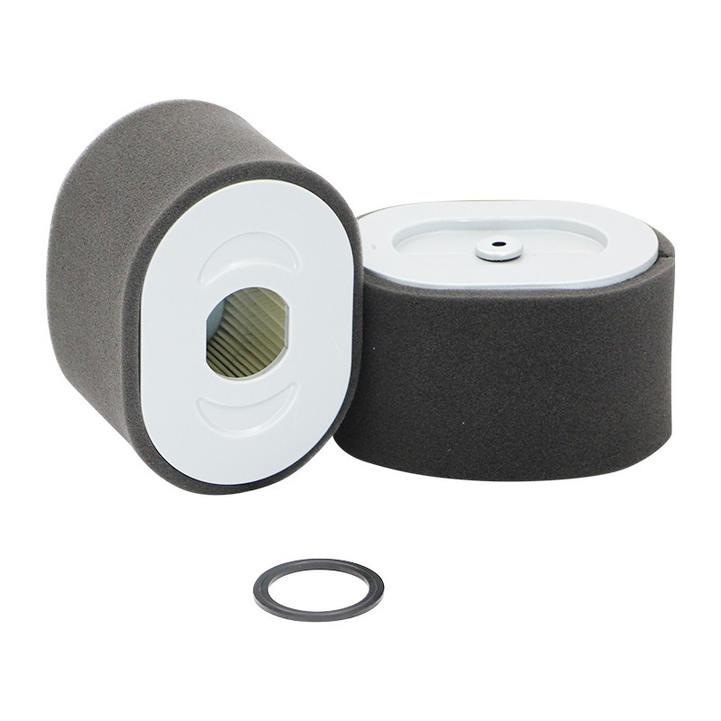 SL87029 Air Filter | SF FILTER