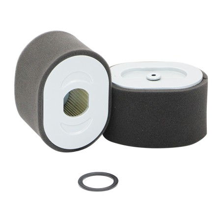 SL87029 Air Filter | SF FILTER