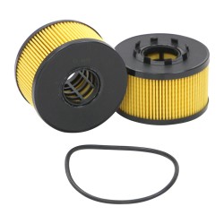 SO4696 Oil Filter Element