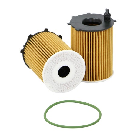 SO48391 Oil Filter Element
