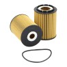 SF SO4870 Oil Filter Element