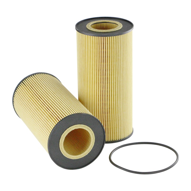 SF SO4904 Oil filter