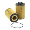 SF SO97038 Oil Filter Element
