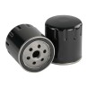 SF SP4430 Engine Oil Filter