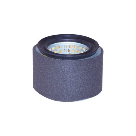 RA3880, Air Filter Element with Foam Wrap