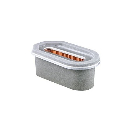 Baldwin PA4935, Oval Air Filter Element