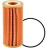 P40010 Oil Filter Element