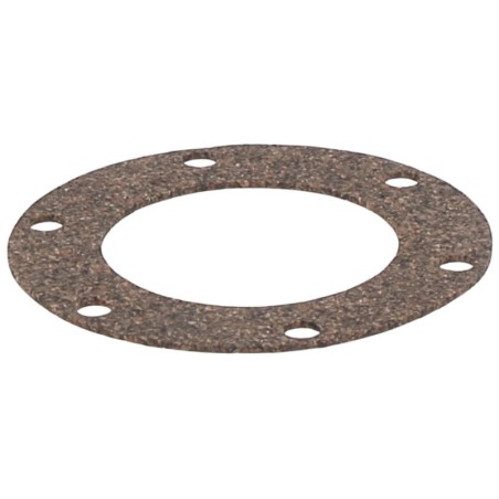 2YGS0002 GASKET | RICO Europe