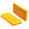 ASP000506AA018 AIR FILTER | RICO Europe