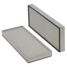ASP000910AG033 AIR FILTER | RICO Europe